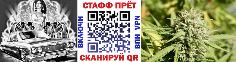 Псилоцибиновые грибы Санкт-Петербург