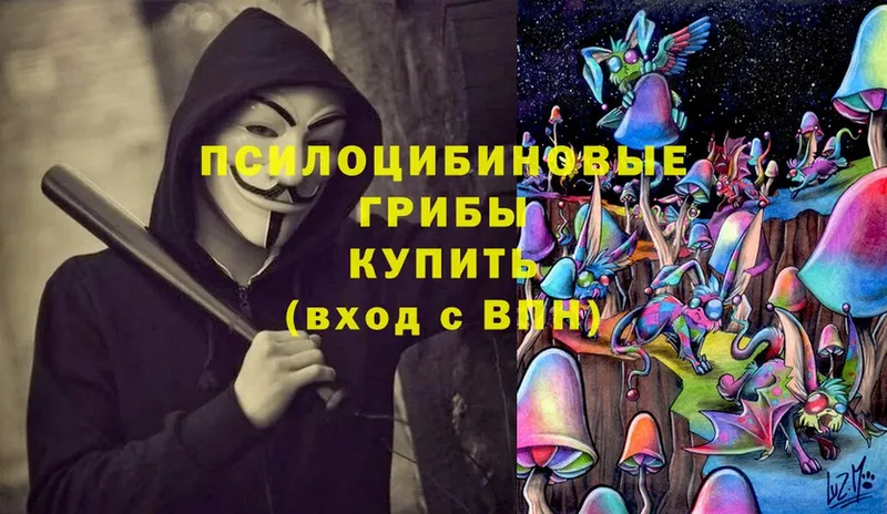 Псилоцибиновые грибы Cubensis  даркнет официальный сайт  Санкт-Петербург 